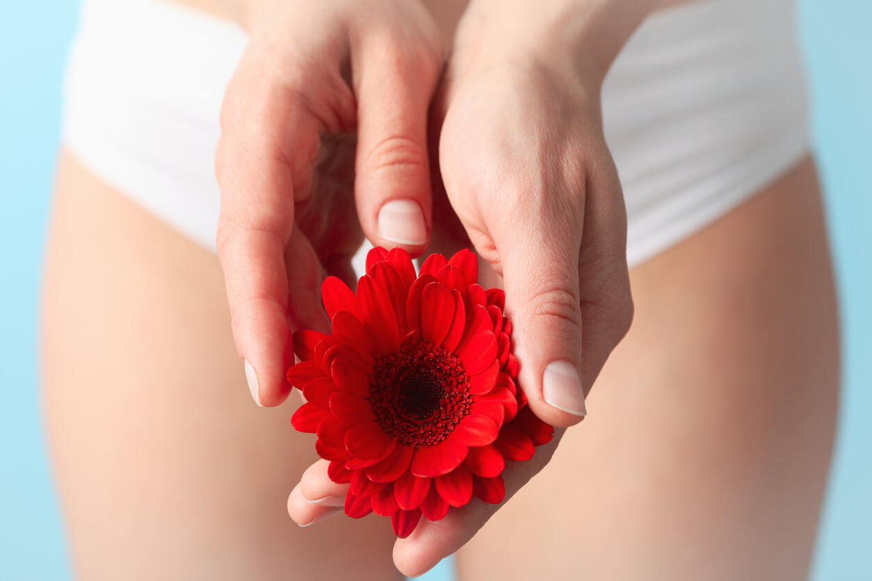 This image shows the mid-section of a woman, with two hands holding a red flower (to symbolize red period blood color) in the foreground. The woman is wearing a pair of white underwear.